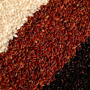 Wild Red Rice by Seggiano shown as dry grains.