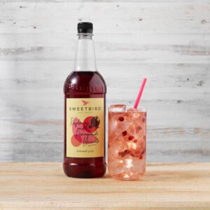 Vegan Raspberry & Pomegranate Lemonade Syrup by Sweetbird served with soda water, ice and pomegranate seeds.