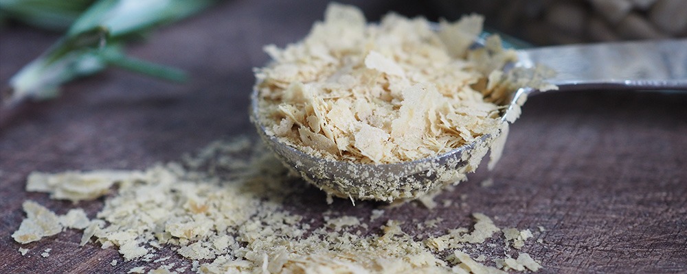 Nutritional Yeast Flakes by Marigold shown in a scoop. Blog header image.